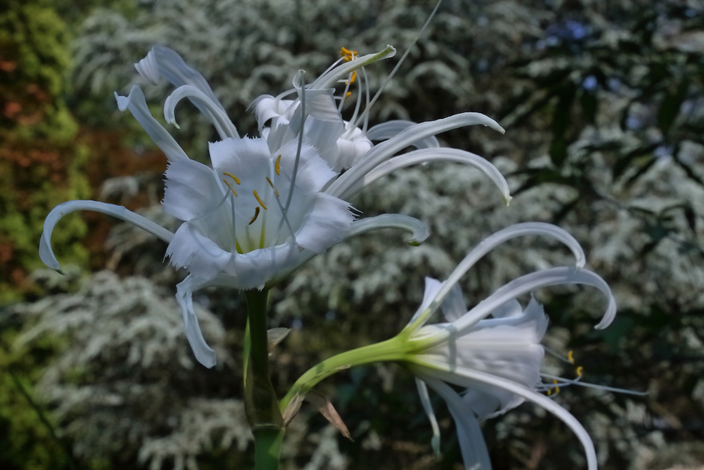 2011 06 15 IMG 33179e